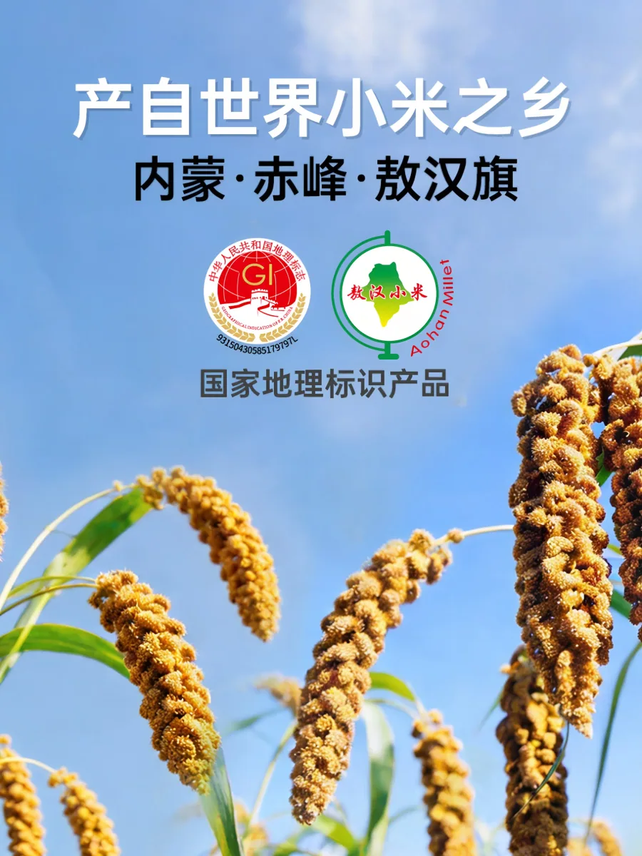 敖汉黄小米 · 详情图 5